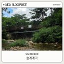 송계당 | 아이랑 갈만한 월악산 닷돈재, 송계계곡 물놀이 꿀팁