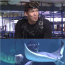 끼리끼리