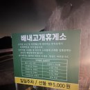 운주산 등산로 | 87.국내산 도장깨기(배내봉,간월산)+낙동정맥&amp;2025 영남 알프스 챌린지 완등 후기!