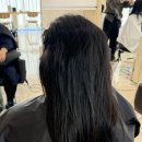 토마스쿨 | 준오헤어kbs별관점에서 8년 만에 애쉬 브라운으로 염색한 후기