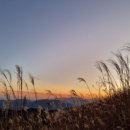 황매산 억새축제 이미지