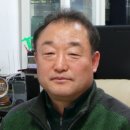 대성익스프레스 이미지