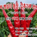 봉화1농장 이미지