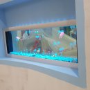 행복수족관 이미지