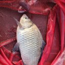 항포낚시터 이미지