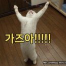 콩툰 이미지