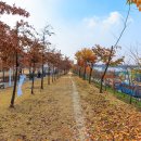 대덕구 산호빛 공원 이미지