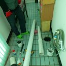 동성백두 이미지