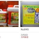 한경희광천토굴새우젓 이미지