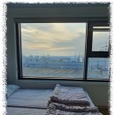 설레임하우스