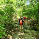 가평푸른숲요양병원 이미지