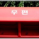 푸른곰팡이 이미지