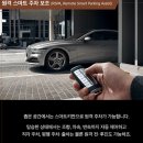 현재 소유 차량에 추가하고 싶은 옵션을 하나 고르자면? 이미지