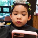 파마중