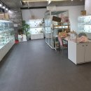 일산고양이분양&미용 반하나캣 이미지