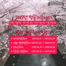 봄꽃산부인과의원 네이버블로그