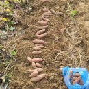 경기어린이집 | 본오일동어린이집 영아전담 리틀창조 어린이집 솔직 후기