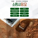 소림사장묘
