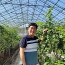 지원농장 이미지