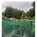 알토란공인중개사사무소 이미지