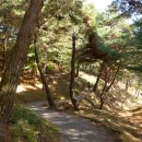 현충원 산책길 이미지