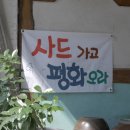 파란숲 이미지