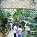 옥녀봉체육시설 X-game장 | 후기) 서울의 웰빙 공간! 서울숲 방문기 1편/ 삐콤씨, 서울숲에서 만난 아름다운 나비와 곤충들