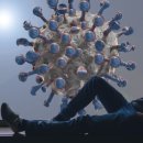 수원-1583 이미지