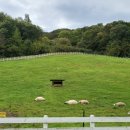 승복목장 이미지