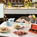 애프터눈 이미지