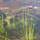 곡정초등학교 이미지