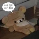 않았던 코로나 양성 확진 이후 일주일 자가격리 후기 2편 (feat. 대전 코로나 대면/비대면 진료 병원 목록)