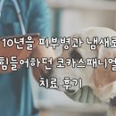 어썸펫 동물병원 이미지