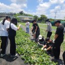 구엄초등학교 이미지