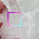 나무늘보움직임연구소 | 네추럴블라썸 비건 기저귀 물티슈 생리대 온가족이 프리미엄으로 함께해요