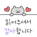 멍냥이노리터 이미지