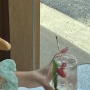 데이오프데이(day off day)