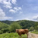 소소리농장 이미지