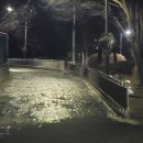 호계3동행정복지센터 이미지