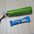 용산-445 | 2025 올리브영 페스타 후기 :: 본품 주는 혜자 부스, 게임 꿀팁 공개!
