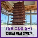 입체영상관 | 황룡사 역사 문화관 - #직접체험 경주 황룡사 주차장 입장료 영상관 3D 입체 영상 카페 솔직 리뷰 후기