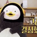 도깨비게스트하우스 이미지