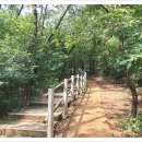 올레길 산림형 1코스 이미지