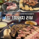 돈가돌판구이 | 제주여행 1일1흑돼지 내돈내산리뷰 숙성흑돼지투어 (칠돈가, 표돈가, 화로위)