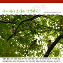 동검도생태체험마을 이미지