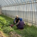 차이나중화요리 | 오산 정남면 제기리 중국집 평택시 더차이나 짜장면 중화요리 맛집
