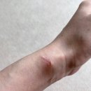 송외과의원 이미지