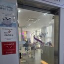 마곡 미용실, 가성비와 트렌드 다 잡은 스테리헤어 추천 (염색/펌/남성컷/키즈컷/클리닉/앞머리컷)
