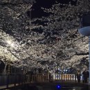 속천방파제 | 진해 가성비 커플여행 (숙소, 카페, 야경)