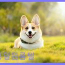 흥일1호 | 동대문구 고시원 흥일원룸텔 흥일원룸텔 신설동역 가까운 합리적 선택